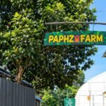 Paphz Farm Chithara - പാപ്സ് ഫാം ചിതറ ഹൈടെക് കൃഷി