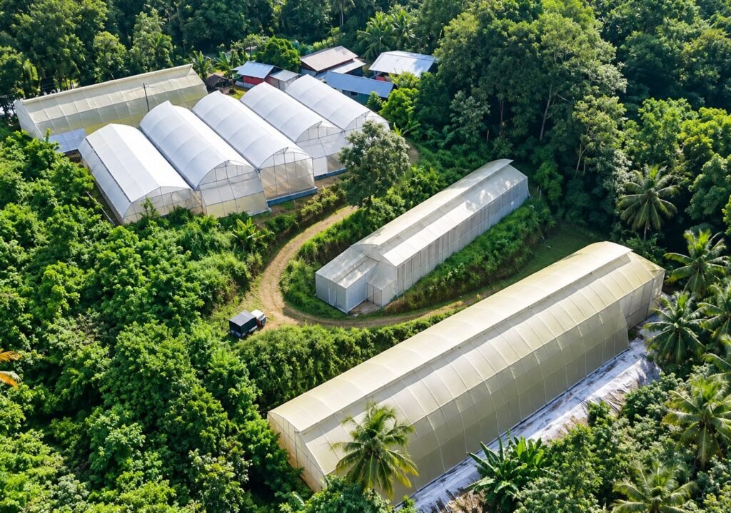 Paphz Farm Chithara - പാപ്സ് ഫാം ചിതറ ഹൈടെക് കൃഷി